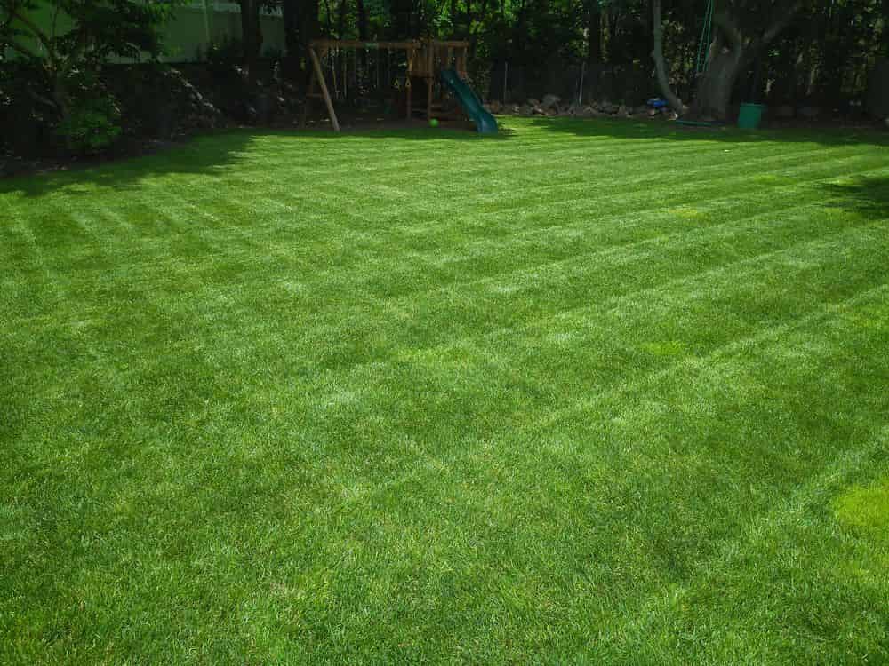 Lawn Care image