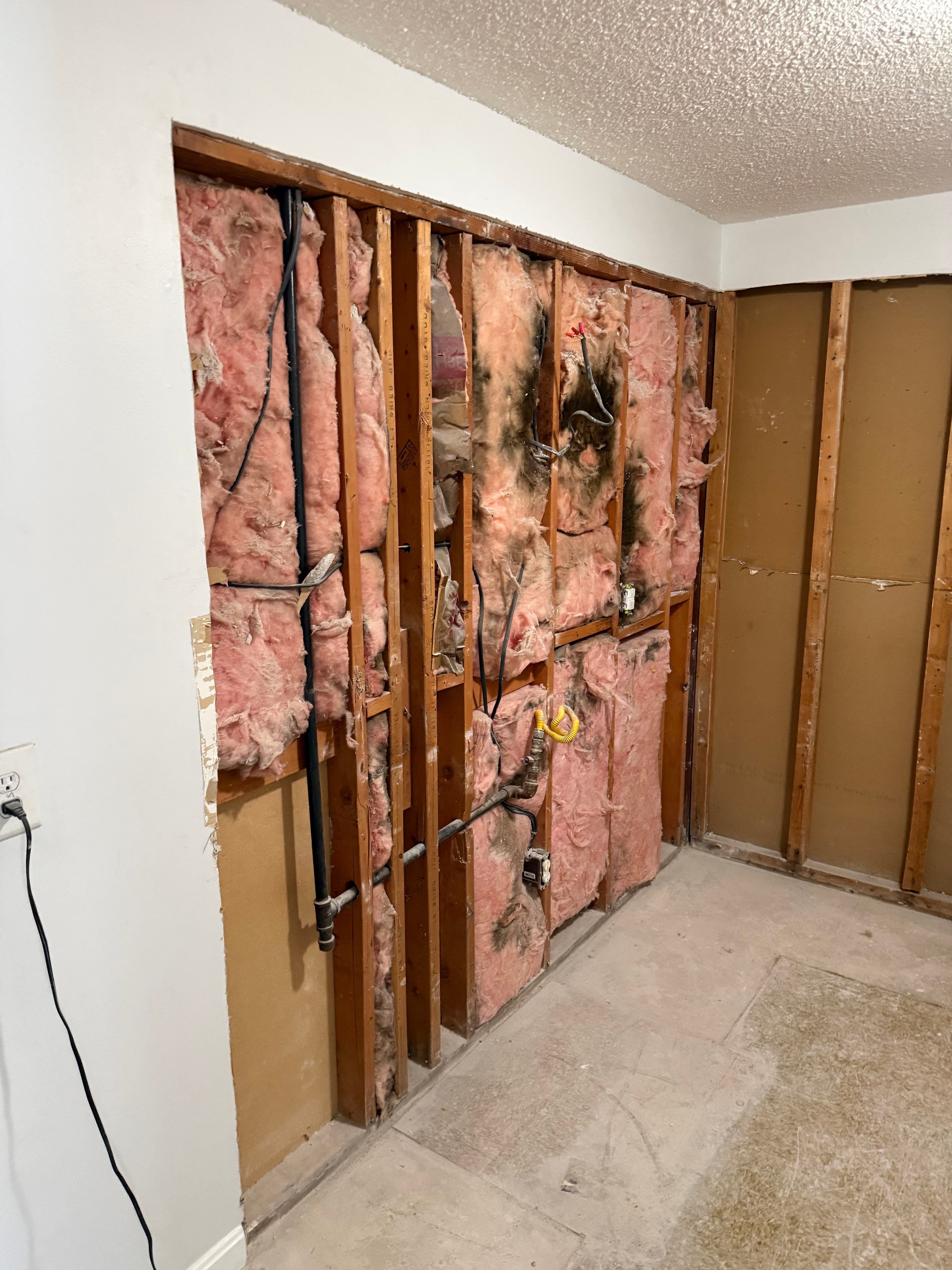 Project Kitchen Wall Demolition and Plumbing Exposure image