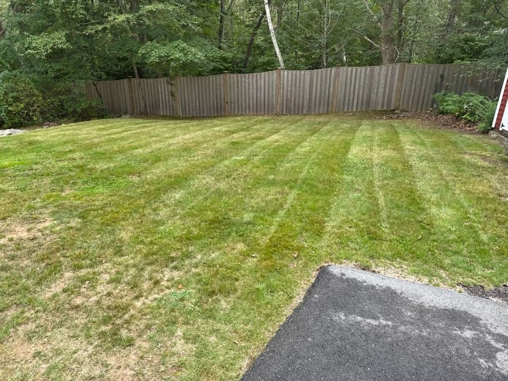 Crisp Striped Lawn Transformation Unveiled