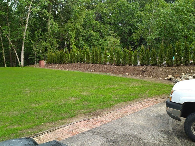 Transformative Landscaping and Construction Project image