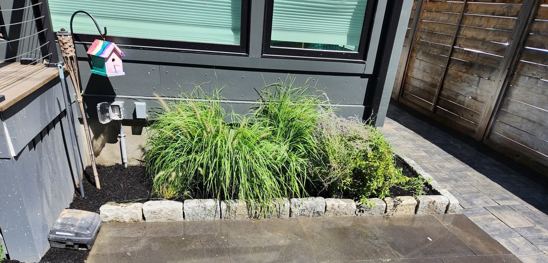 Backyard Transformation with Cobblestone Edging image