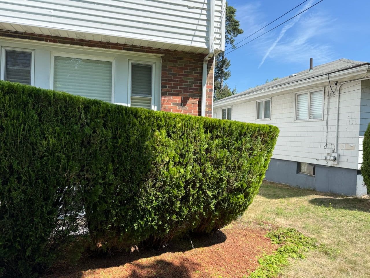 Expert Hedge Trimming for Superior Curb Appeal image