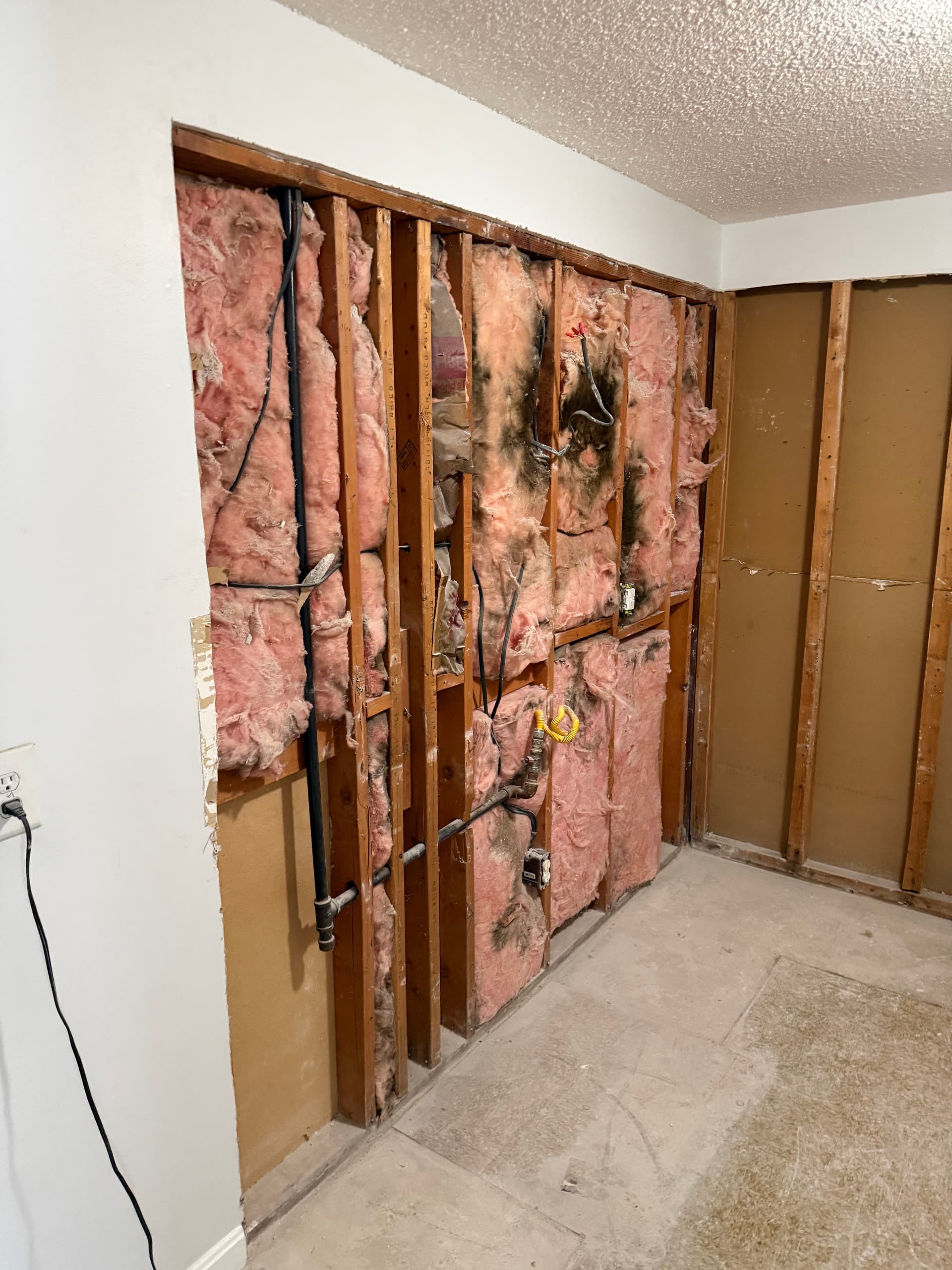 Kitchen Wall Demolition and Plumbing Exposure image